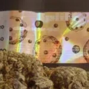 Recensione cliente Cookie OG con foto - Spliff