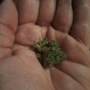 Recensione cliente Dream Berry con foto - Spliff