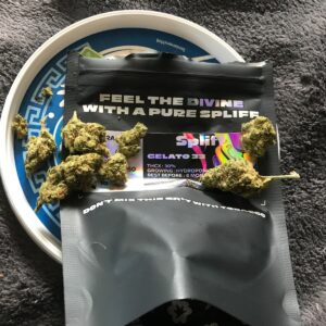 Recensione cliente Gelato 33 con foto - Spliff