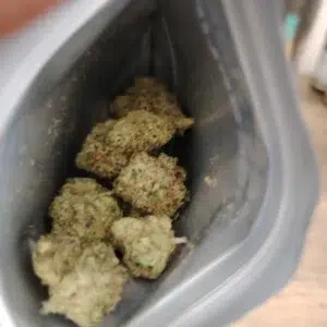 Recensione cliente Gelato 33 con foto - Spliff