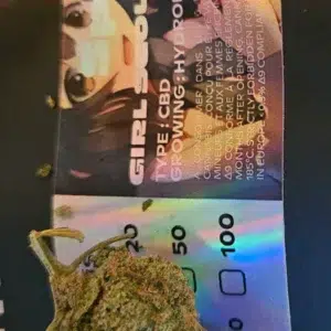 Recensione cliente Girl Scout Cookies con foto - Spliff