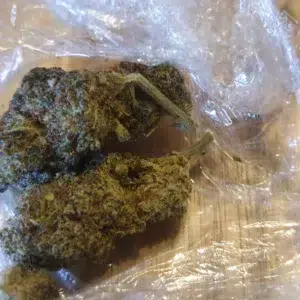 Recensione cliente Gorilla Glue con foto - Spliff