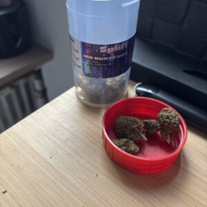 Recensione cliente Ice Runtz USA con foto - Spliff