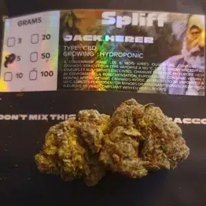 Recensione cliente Jack Herer con foto - Spliff