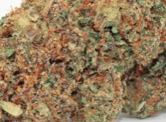 Recensione cliente Jack Herer con foto - Spliff