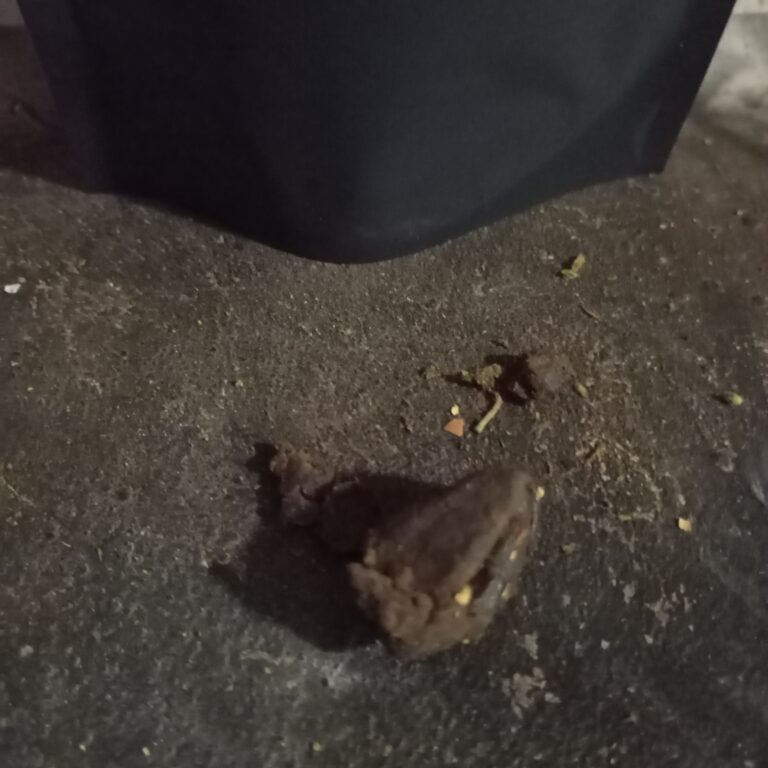 Click to view full screen Recensione cliente Kashmir Hash con foto - Spliff