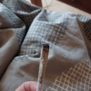 Recensione cliente Lemon Kush Pop con foto - Spliff