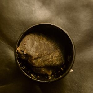 Recensione cliente Maroccan Hash con foto - Spliff