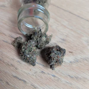 Recensione cliente Mind Fucker con foto - Spliff
