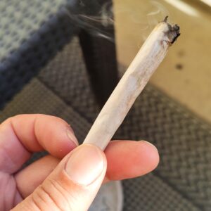 Recensione cliente Mind Fucker con foto - Spliff