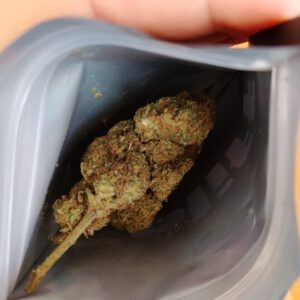 Recensione cliente Mind Fucker con foto - Spliff