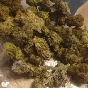 Recensione cliente Minibud Cali USA con foto - Spliff