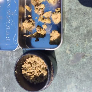 Recensione cliente Minibud Cali USA con foto - Spliff