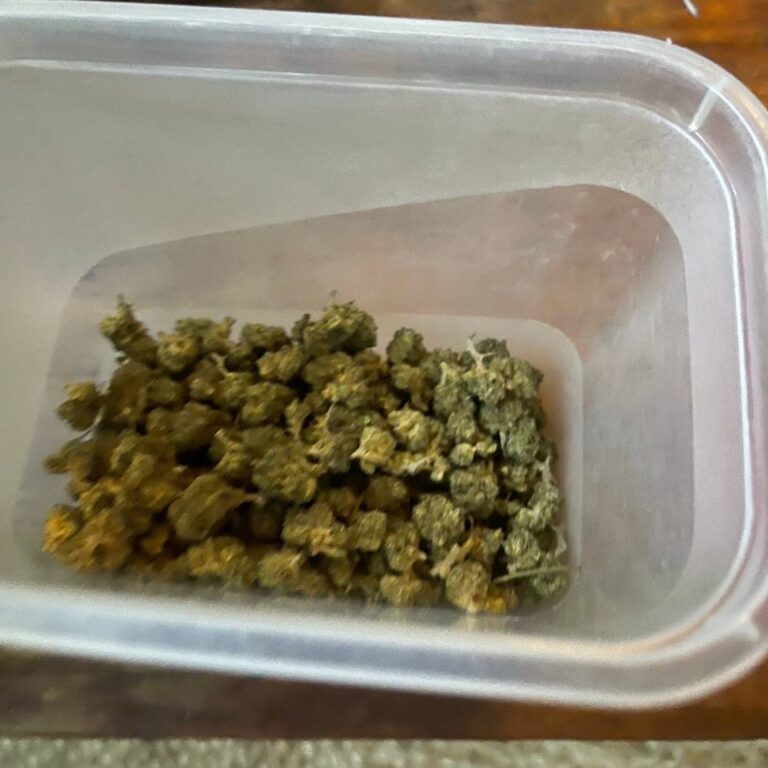 Click to view full screen Recensione cliente Minibud Premium Superskunk con foto - Spliff