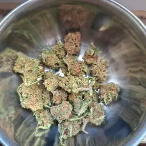 Recensione cliente Minibud Premium con foto - Spliff