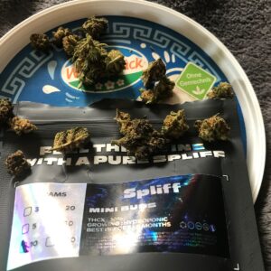 Recensione cliente Minibud Premium con foto - Spliff