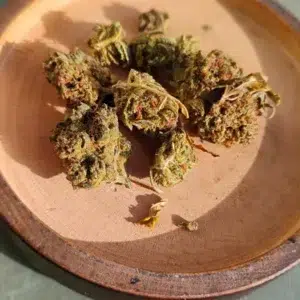 Recensione cliente Minibud Premium con foto - Spliff