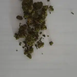 Recensione cliente Minibud Premium con foto - Spliff