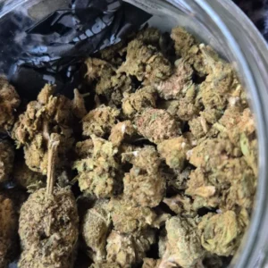 Recensione cliente Minibud Premium con foto - Spliff