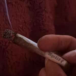Recensione cliente Minibud Premium con foto - Spliff