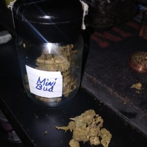 Recensione cliente Minibud Premium con foto - Spliff