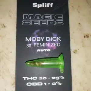 Recensione cliente Moby Dick Auto con foto - Spliff