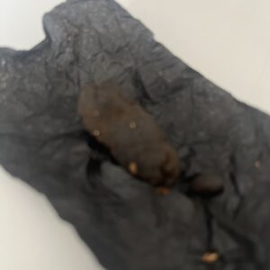 Recensione cliente Nepalese con foto - Spliff