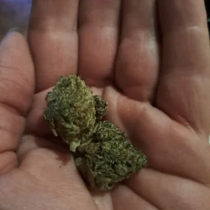 Recensione cliente Orange Bud con foto - Spliff