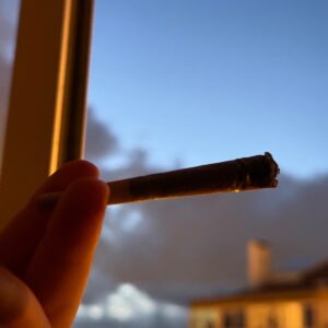 Recensione cliente Spinelli THCX pre-rollati - Zkittlez con foto - Spliff