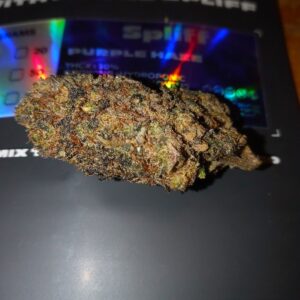 Recensione cliente Purple Haze con foto - Spliff