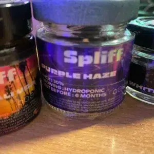 Recensione cliente Purple Haze con foto - Spliff