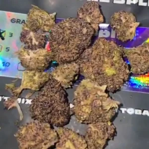 Recensione cliente Purple Haze con foto - Spliff