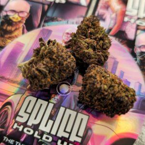 Recensione cliente Purple Haze con foto - Spliff