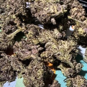 Recensione cliente Purple Haze con foto - Spliff