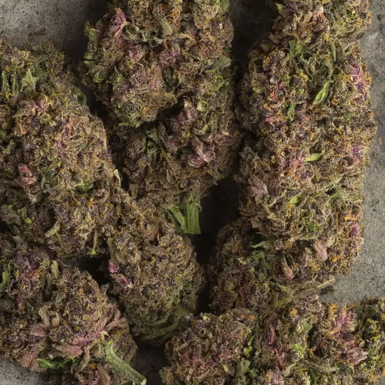 Click to view full screen Recensione cliente Purple Haze con foto - Spliff