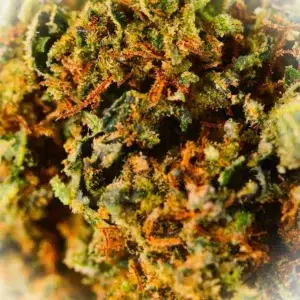 Recensione cliente Sapphire con foto - Spliff