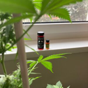 Recensione cliente Sciroppo di THC - Pozione magica con foto - Spliff
