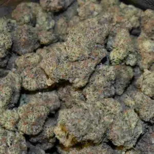 Recensione cliente Sour Diesel con foto - Spliff