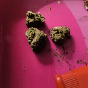 Recensione cliente Sour Diesel con foto - Spliff