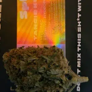 Recensione cliente Tangie Kush con foto - Spliff